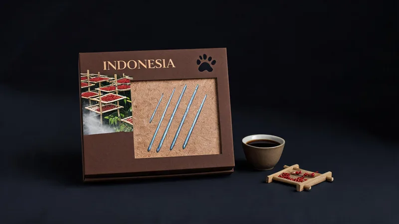 indonesia